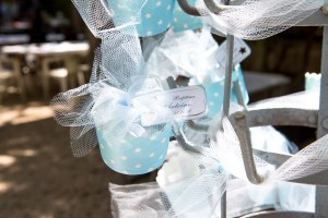 Baptême Gard Vaucluse Tavel